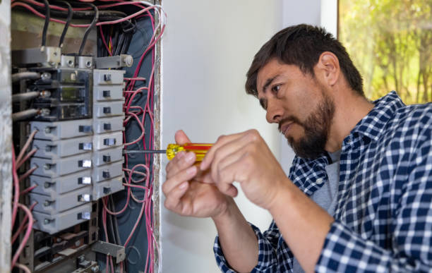 Best Electric Panel Repair  in Appleton, MN